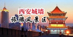 丝袜美女露逼毛中国陕西-西安城墙旅游风景区